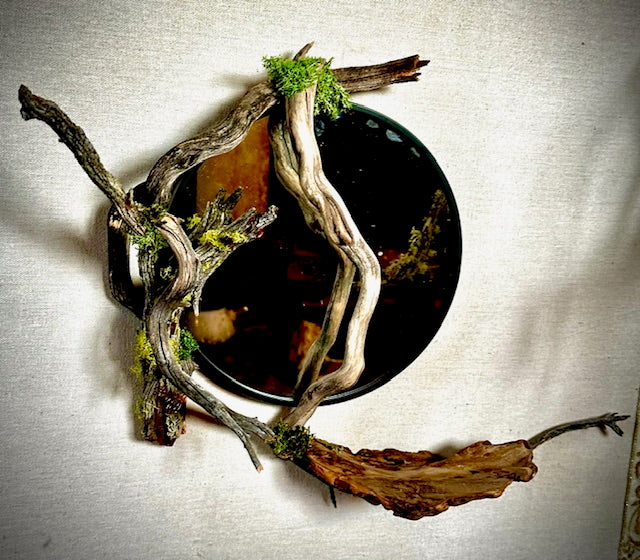 Ying Yang, Wonder Portal