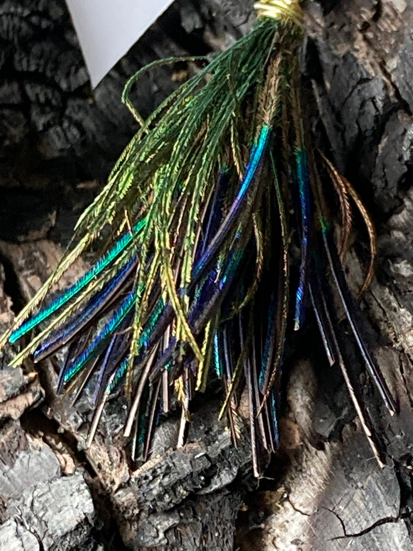 Pixy cut medium Peapoofs with blue feathers