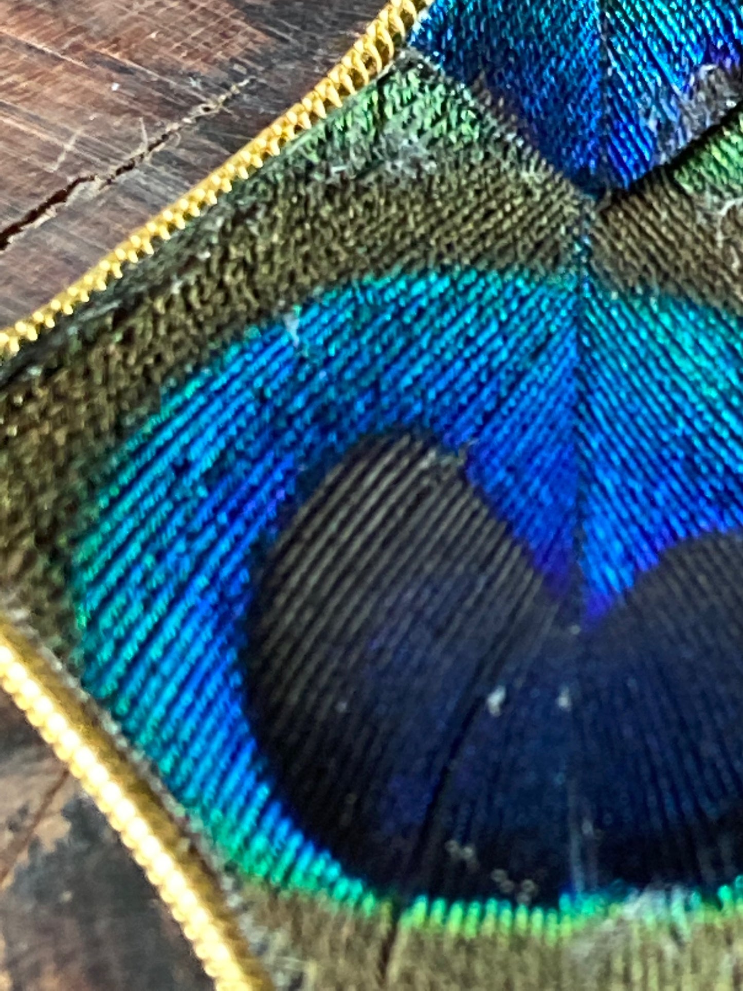 Diamond shaped feathered pendant neclace