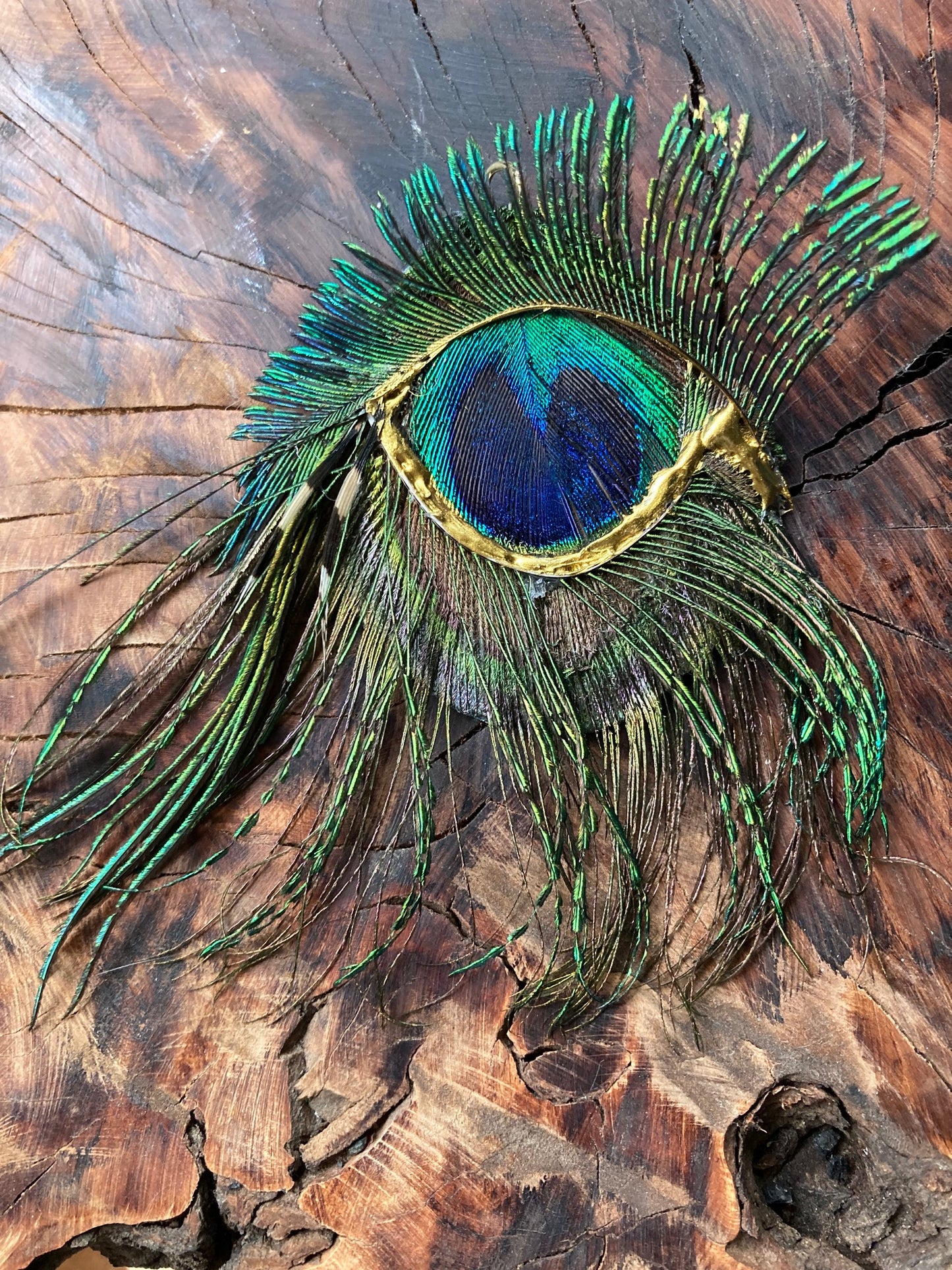 Feathered Eye pendant with gold trim wearable art