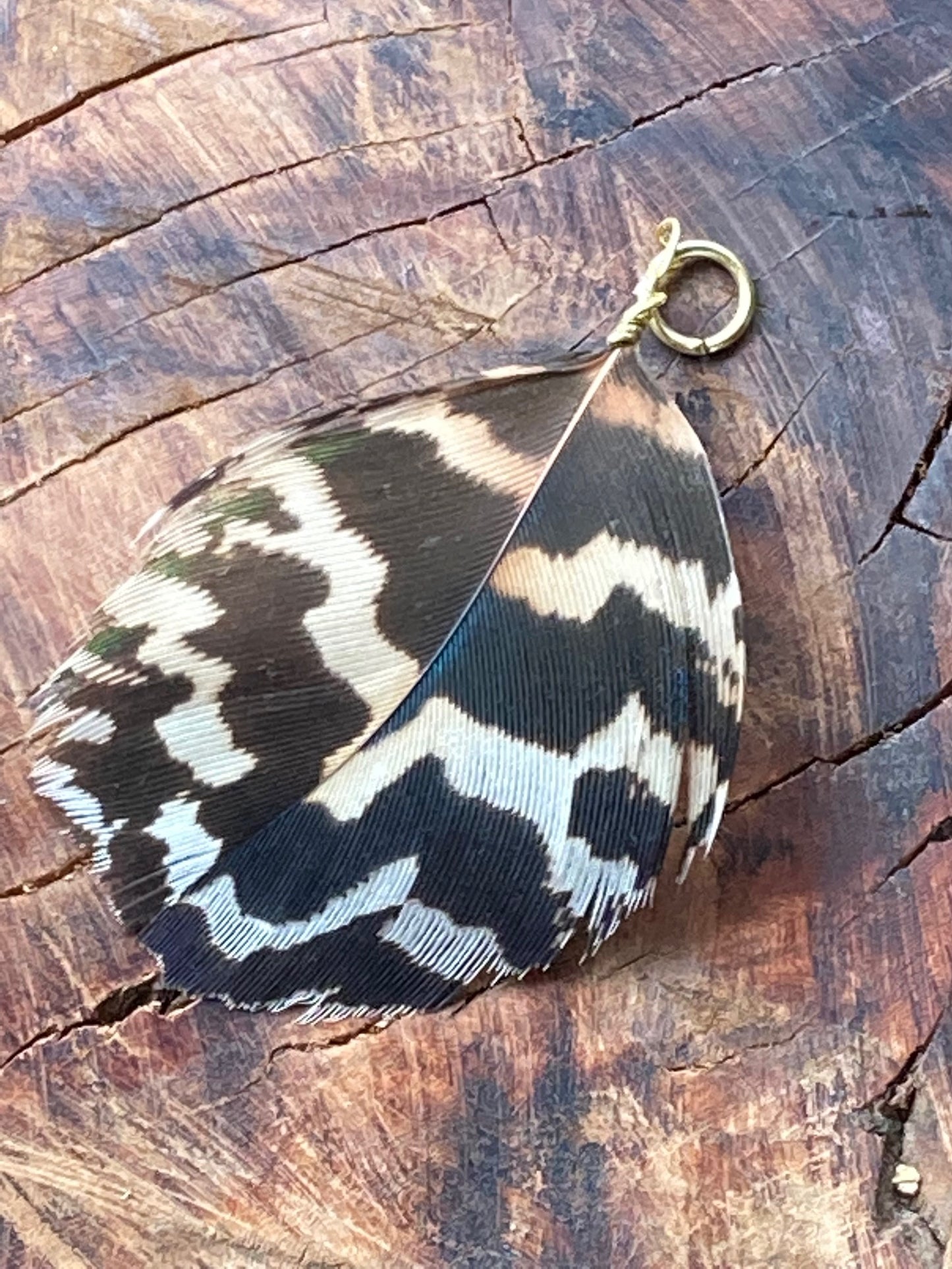 Charm, tiger feather