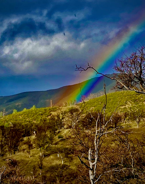 Rainbow I can touch, print