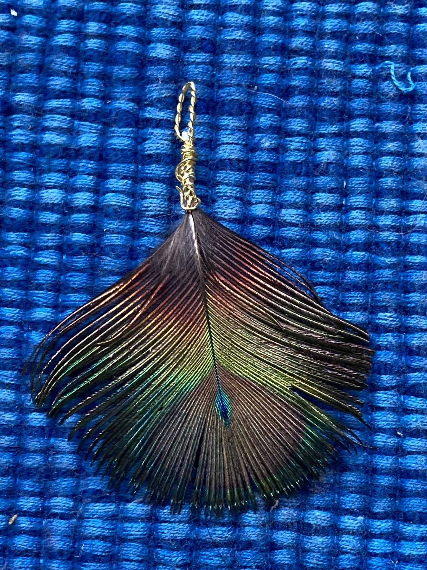 Charm, single small peacock eye feather