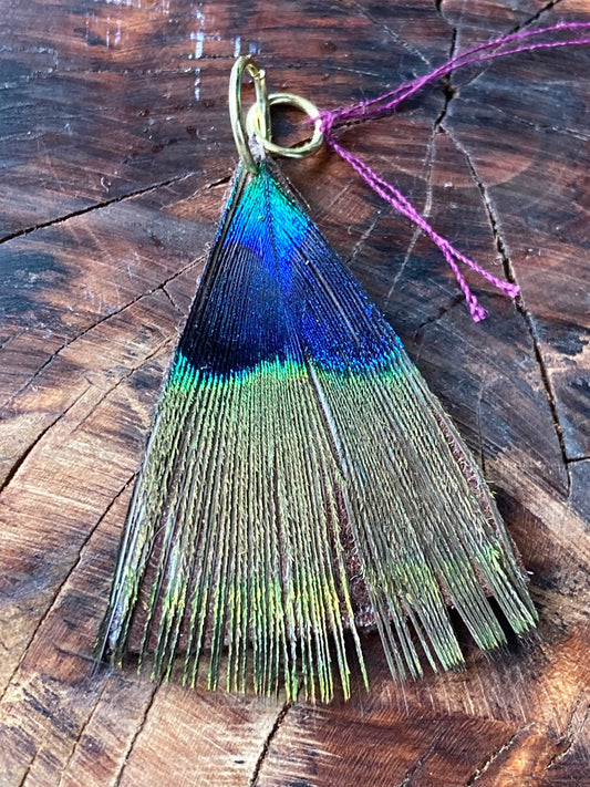 Charm, leather back triangular design peacock feather